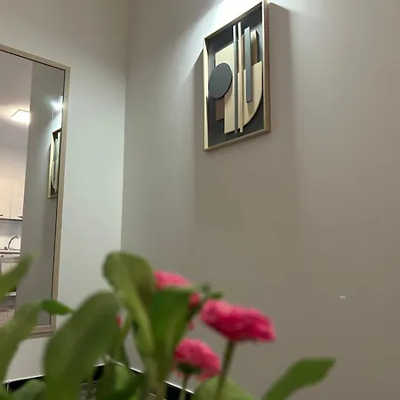 Intomatera Business With Parking 公寓式酒店