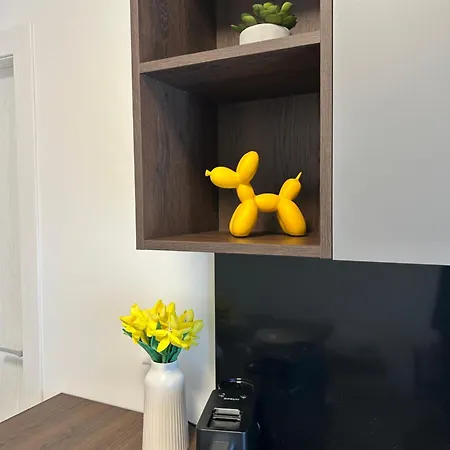 Intomatera - Business Matera